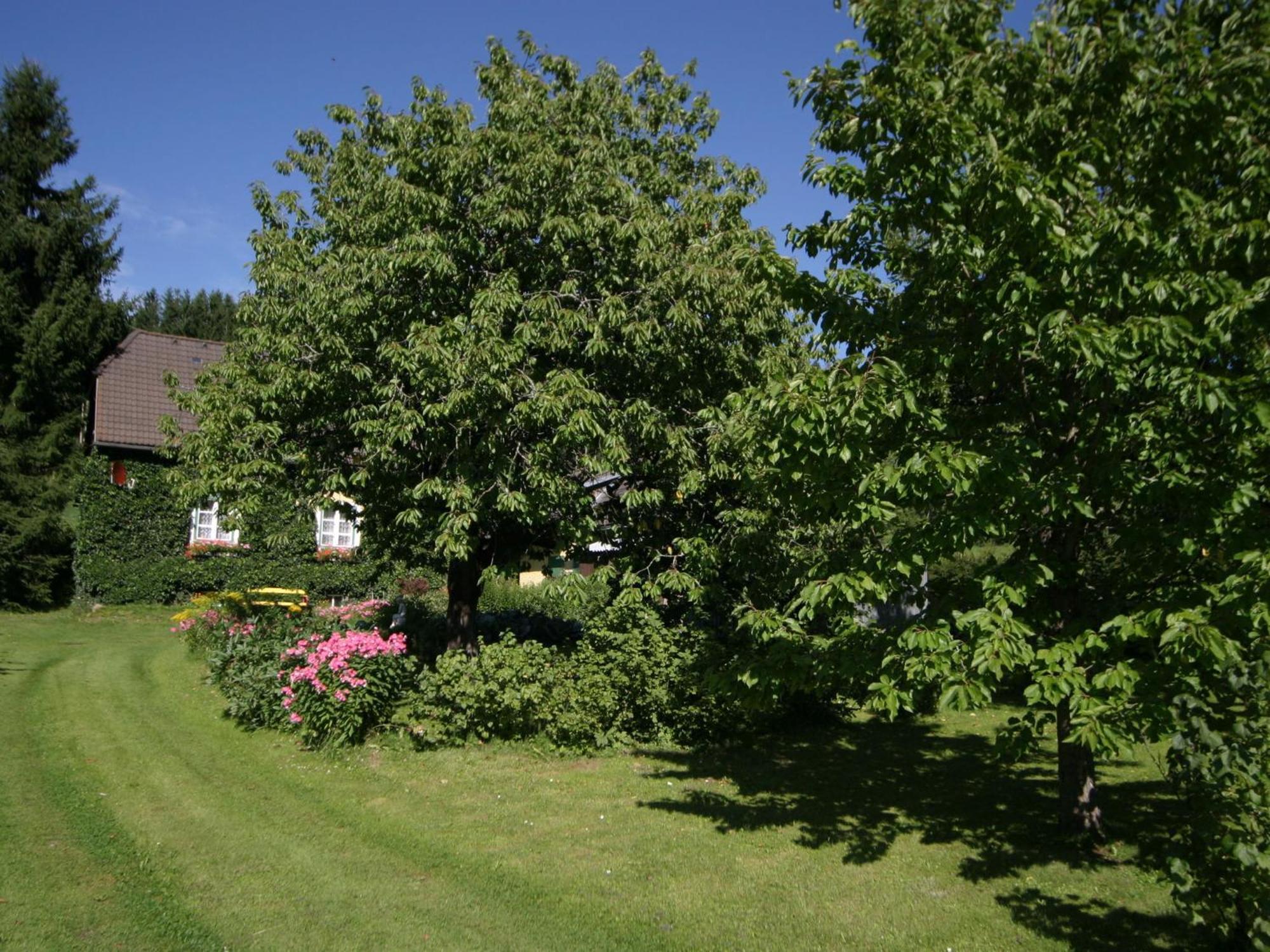 Holiday Home In Scheifling Near Ski Area Kültér fotó